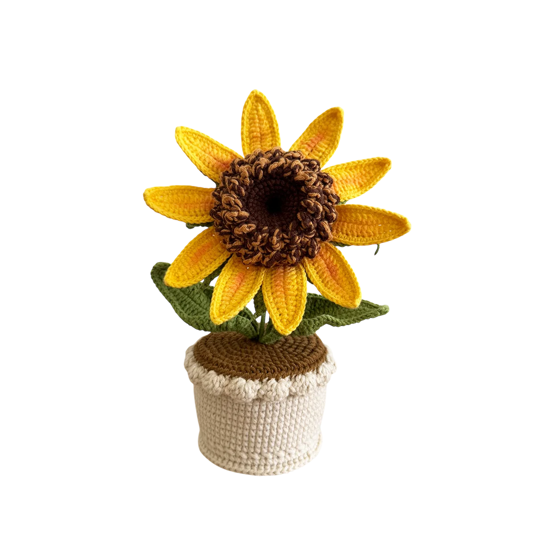 Sunflower Pot Plant