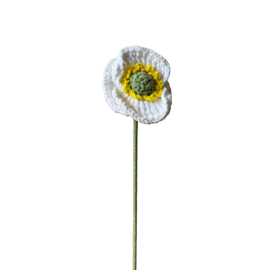 Poppy - White