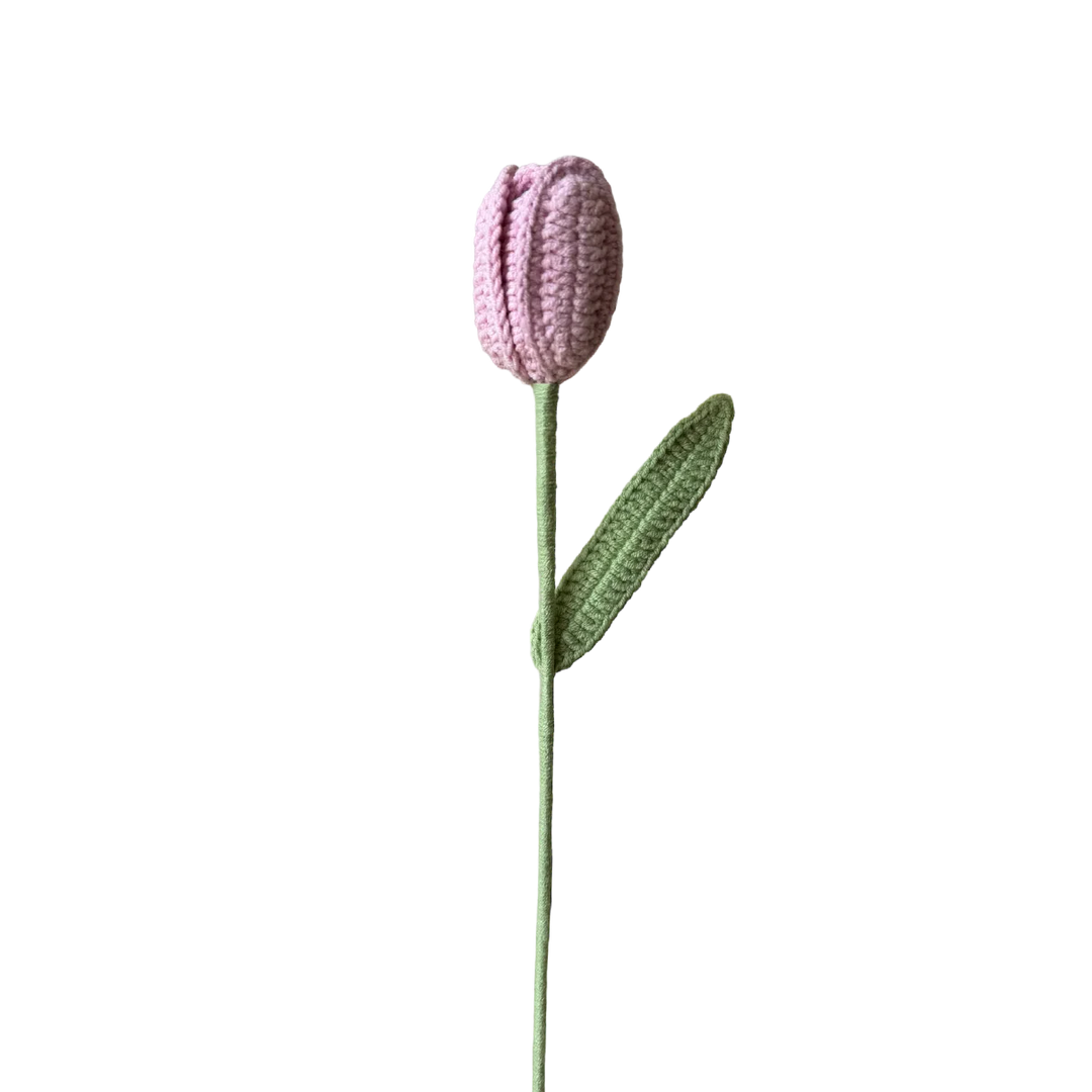 Tulip - Pink